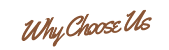 Why Chose Us (4)